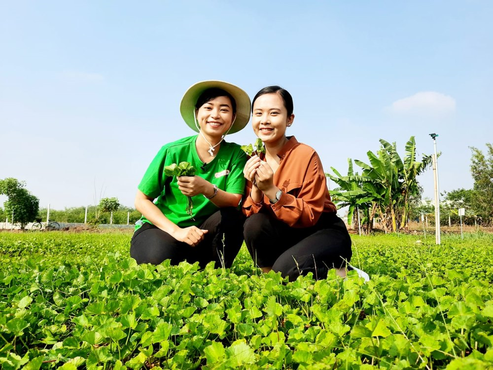 Khi người trẻ quay về với nông nghiệp (30/04/2021)